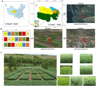 Soil microbial community are more sensitive to ecological regions than cropping systems in alpine annual grassland of the Qinghai-Tibet Plateau